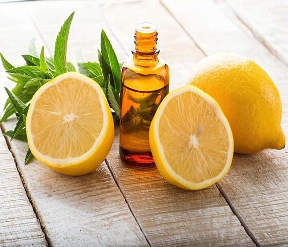 Lemon Oil Lemon Oil