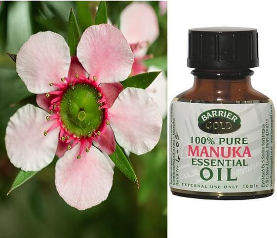 Manuka Oil Manuka Oil