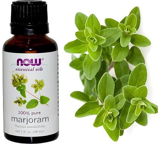 Marjoram Oil Marjoram Oil