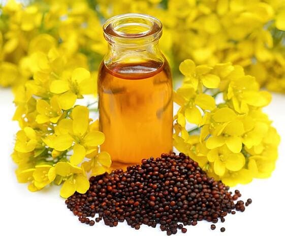 Mustard Oil Mustard Oil
