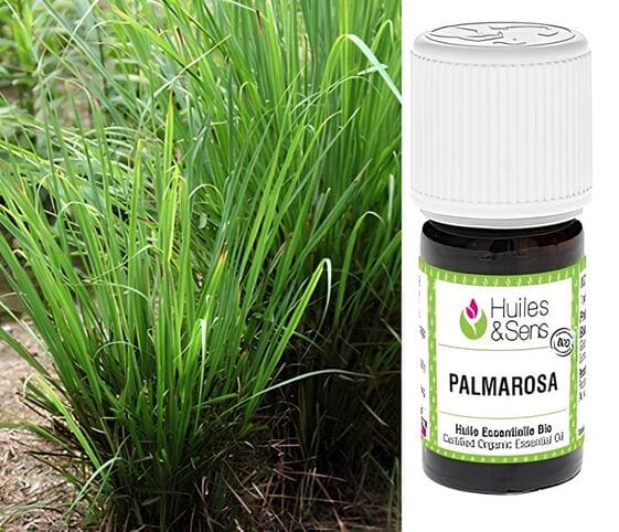 Palmarosa Oil Palmarosa Oil