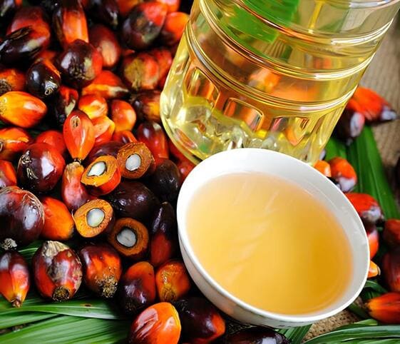 Palmolein Oil Palmolein Oil