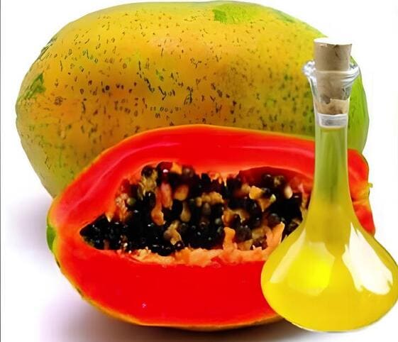 Papaya Seed Oil Papaya Seed Oil