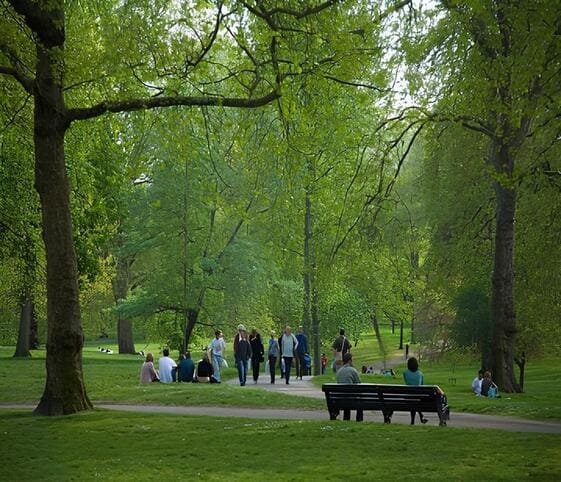 Park Park