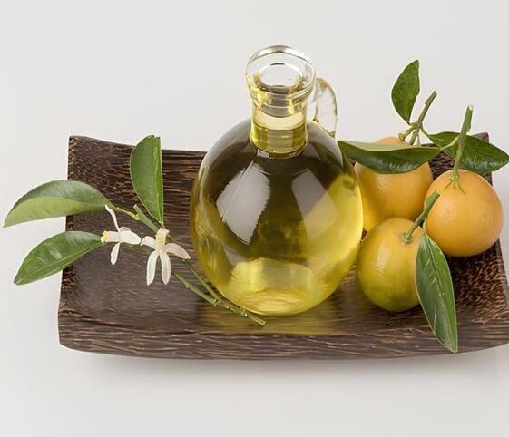 Petitgrain Oil Petitgrain Oil