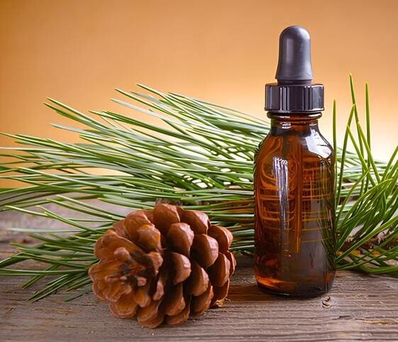 Pine Oil Pine Oil