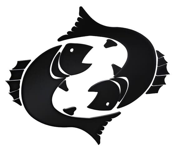 Pisces Pisces