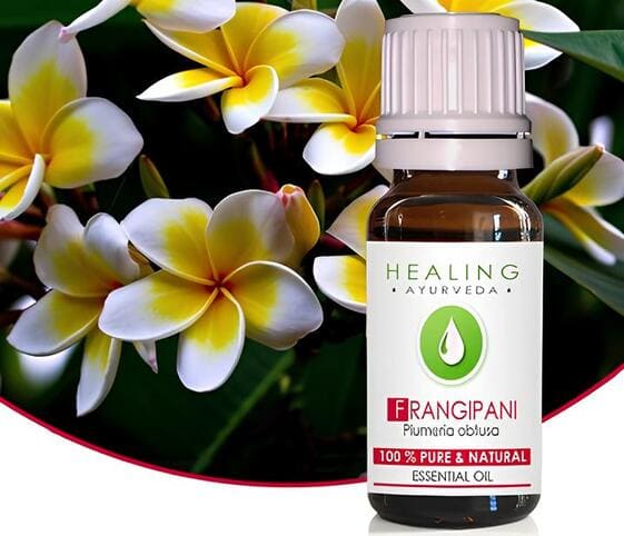 Plumeria/Frangipani Oil Plumeria Oil