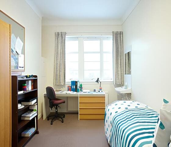 Room Room
