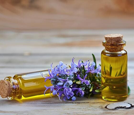 Rosemary Oil Rosemary Oil
