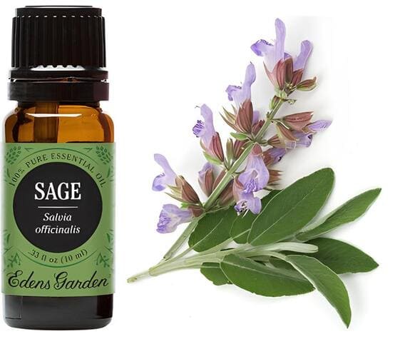Sage Oil Sage Oil