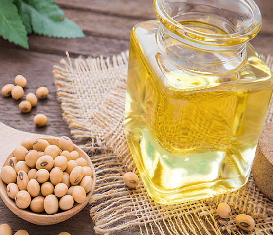 Soybean Oil Soybean Oil