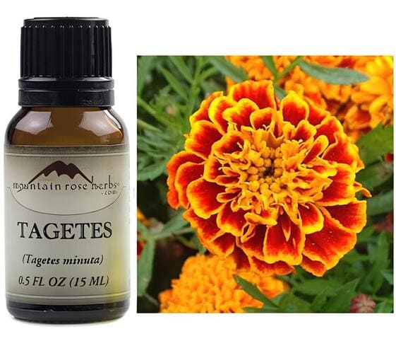 Tagetes Oil Tagetes Oil