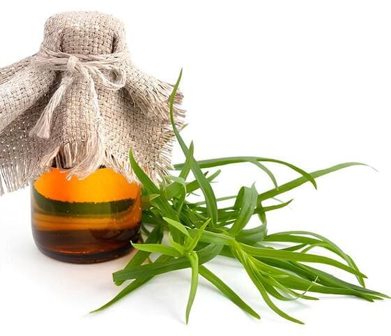 Tarragon Oil Tarragon Oil