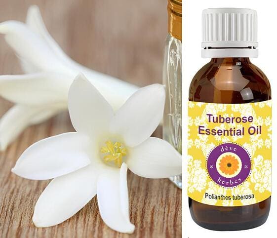 Tuberose Oil Tuberose Oil