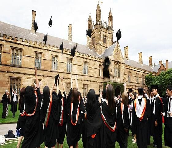 University University