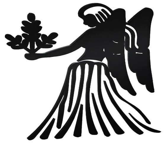 Virgo Virgo