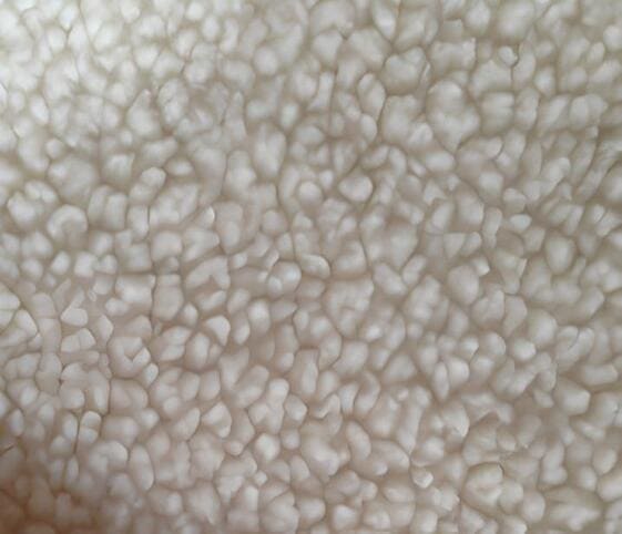 Cashmere Fabric