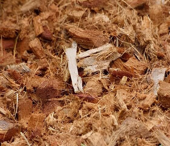 Coconut Coir