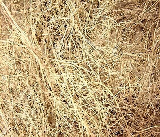 Coir or Fibre
