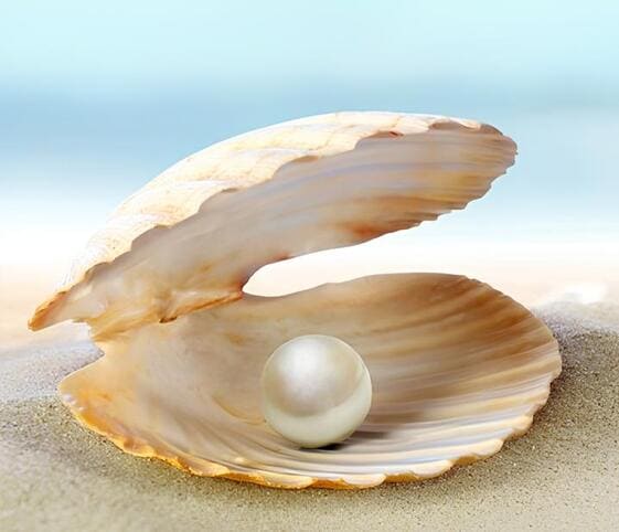 Oyster