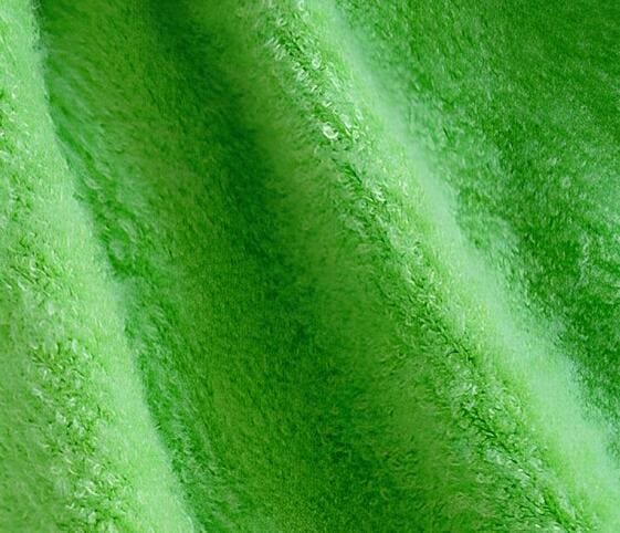 Terry Cloth Fabric